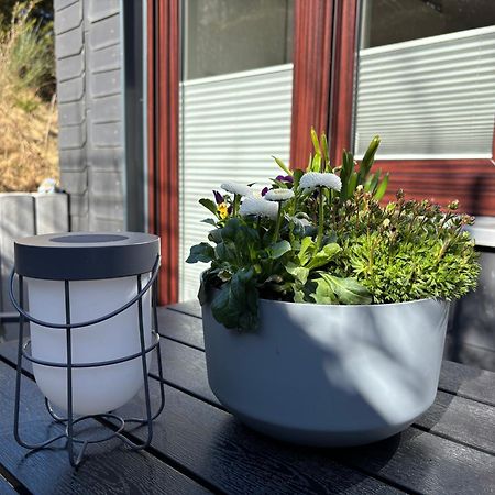 Dein Winterberg Apartment - Wifi Geschirrspueler Smart Tv Rum bild