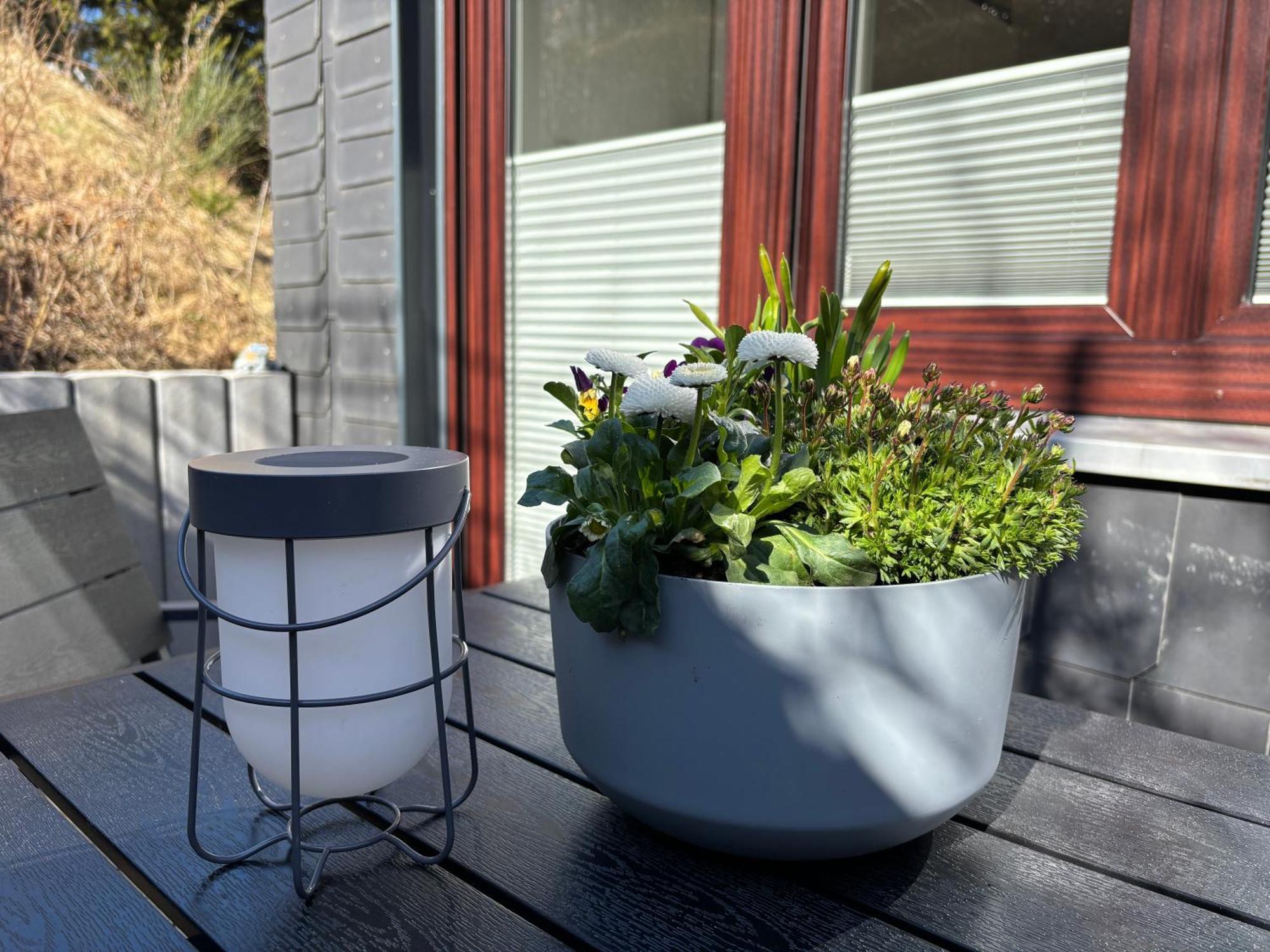 Dein Winterberg Apartment - Wifi Geschirrspueler Smart Tv Rum bild
